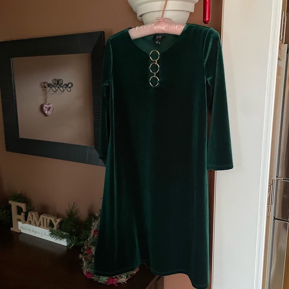Chic Green Velvet Dress with Gold Accents